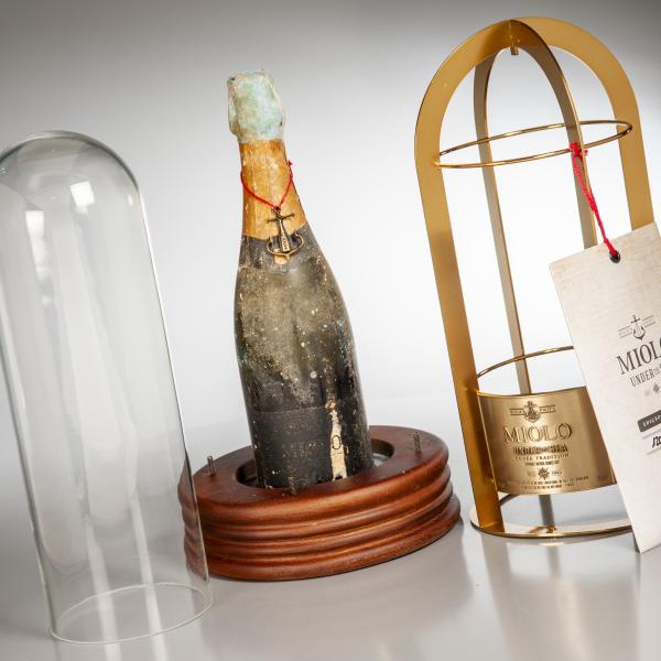 Under the Sea - Miolo